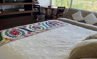 DEPARTAMENTO, Blvd. Paseo Ixtapa, 