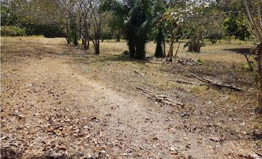 Finca en La Negrita, Penonomé