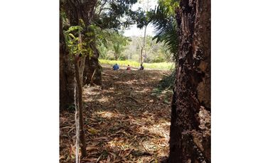 Finca en La Negrita, Penonomé