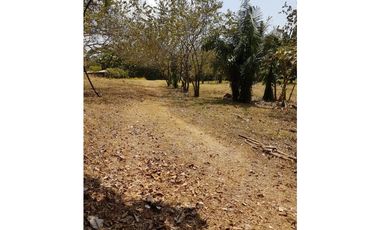 Finca en La Negrita, Penonomé