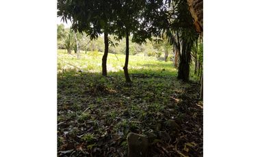 Finca en La Negrita, Penonomé