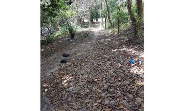 Finca en La Negrita, Penonomé