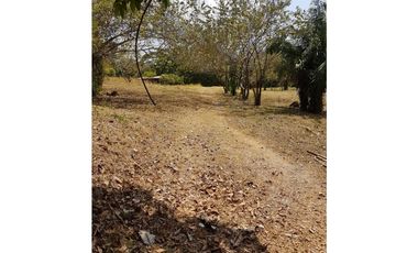 Finca en La Negrita, Penonomé