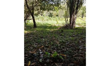 Finca en La Negrita, Penonomé