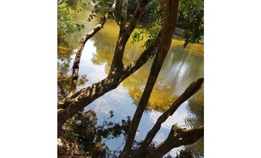 Finca en La Negrita, Penonomé