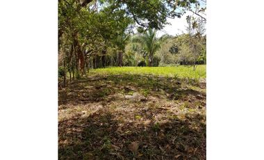 Finca en La Negrita, Penonomé
