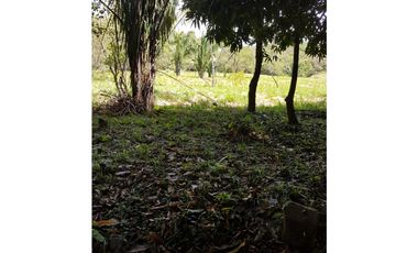 Finca en La Negrita, Penonomé