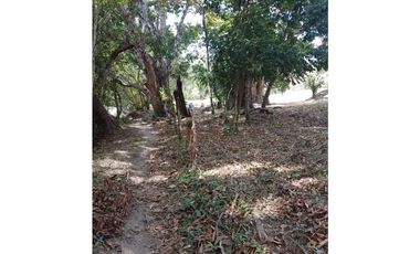 Finca en La Negrita, Penonomé