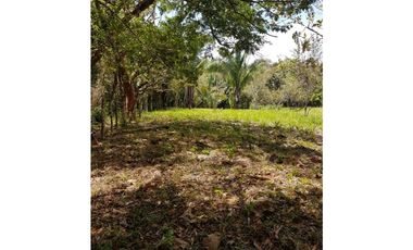 Finca en La Negrita, Penonomé