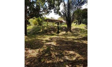 Finca en La Negrita, Penonomé