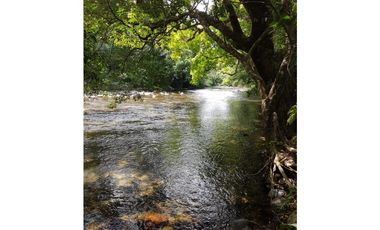 Finca en La Negrita, Penonomé