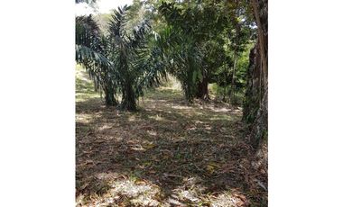 Finca en La Negrita, Penonomé