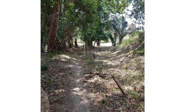 Finca en La Negrita, Penonomé