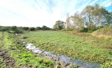 Agrícola en Venta en Sector 