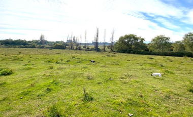Parcela en Venta en Sector 