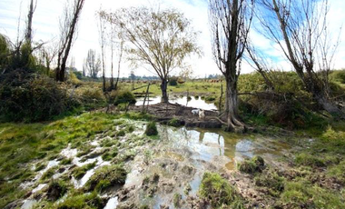 Parcela en Venta en Sector 