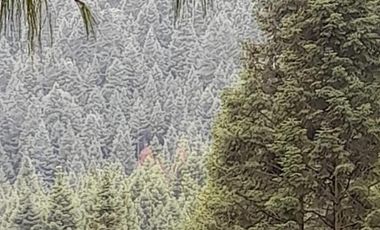 Terreno Venta Santa Ana Jilotzingo, Estado de México