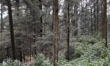 Terreno Venta Santa Ana Jilotzingo, Estado de México