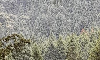 Terreno Venta Santa Ana Jilotzingo, Estado de México