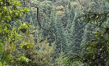 Terreno Venta Santa Ana Jilotzingo, Estado de México