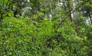 Terreno Venta Santa Ana Jilotzingo, Estado de México