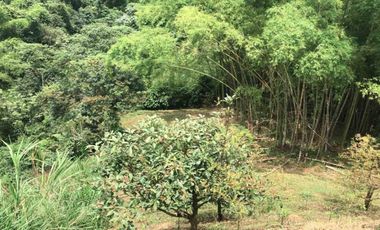 LOTE EN VENTA EN SECTOR EL TAMBO/DOSQUEBRADAS