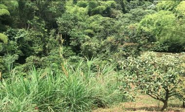 LOTE EN VENTA EN SECTOR EL TAMBO/DOSQUEBRADAS