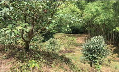 LOTE EN VENTA EN SECTOR EL TAMBO/DOSQUEBRADAS