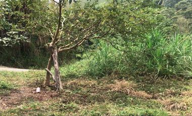 LOTE EN VENTA EN SECTOR EL TAMBO/DOSQUEBRADAS