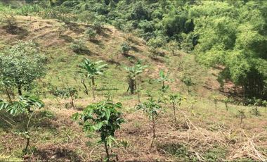 LOTE EN VENTA EN SECTOR EL TAMBO/DOSQUEBRADAS