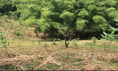 LOTE EN VENTA EN SECTOR EL TAMBO/DOSQUEBRADAS