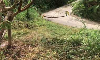 LOTE EN VENTA EN SECTOR EL TAMBO/DOSQUEBRADAS