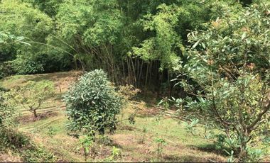 LOTE EN VENTA EN SECTOR EL TAMBO/DOSQUEBRADAS