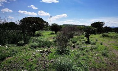TERRENO EN RENTA EN EJIDO JESUS MARIA EL MARQUES