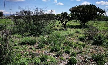 TERRENO EN RENTA EN EJIDO JESUS MARIA EL MARQUES