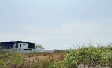 Land for sale in Bang Krachao, Samut Sakhon