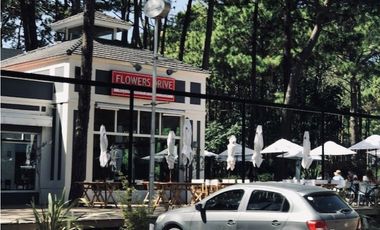A  METROS DE CENTRO COMERCIAL NORTE (ILIADA Y TROYA)