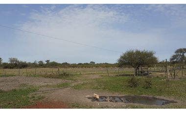 CAMPO EN VILLA JALON
