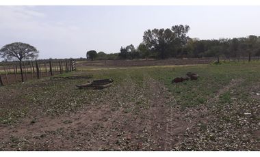 CAMPO EN VILLA JALON