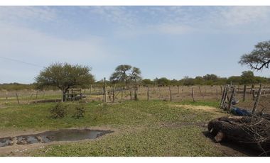 CAMPO EN VILLA JALON