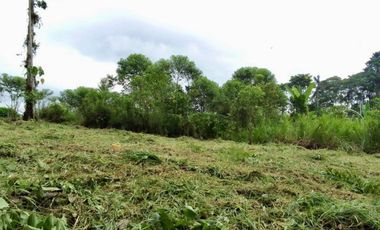 Venta hermosos terrenos Quintas Vacacionales urb.privada Pedro Vicente Maldonado