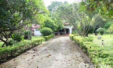 6 Bedroom House for sale in Luang Nuea, Chiang Mai