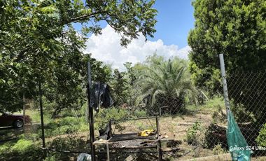 QUINTA EN VENTA EN EJIDO LOS VILLARREALES EN SALINAS VICTORIA, N.L.