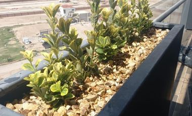 Departamento Moderno en Altozano El Nuevo Juárez