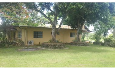 VENDO FINCA DE 18 HECTAREAS EN CERRO CAMA - PANAMA OESTE!!!
