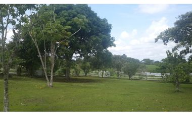 VENDO FINCA DE 18 HECTAREAS EN CERRO CAMA - PANAMA OESTE!!!