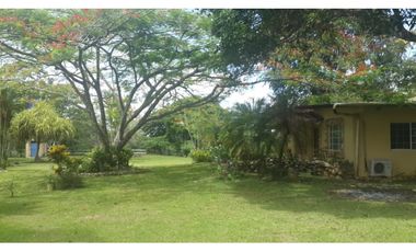 VENDO FINCA DE 18 HECTAREAS EN CERRO CAMA - PANAMA OESTE!!!