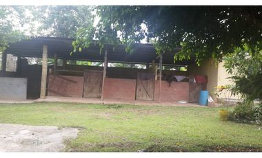 VENDO FINCA DE 18 HECTAREAS EN CERRO CAMA - PANAMA OESTE!!!