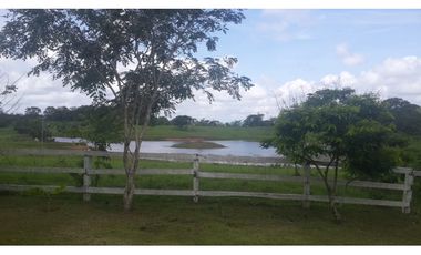 VENDO FINCA DE 18 HECTAREAS EN CERRO CAMA - PANAMA OESTE!!!