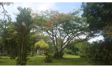 VENDO FINCA DE 18 HECTAREAS EN CERRO CAMA - PANAMA OESTE!!!